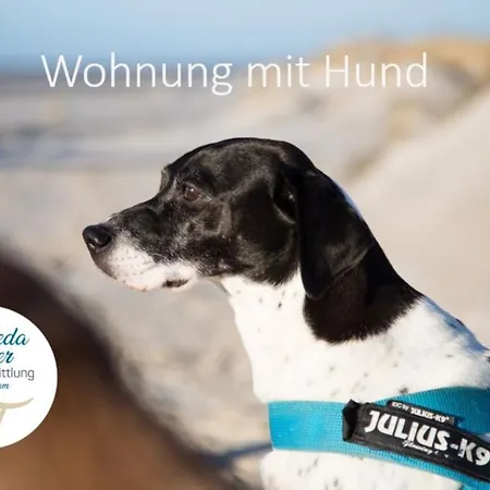 Strandlust 21a Apartman