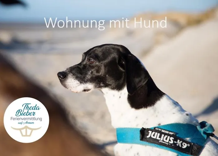 Strandlust 21a Lejlighed